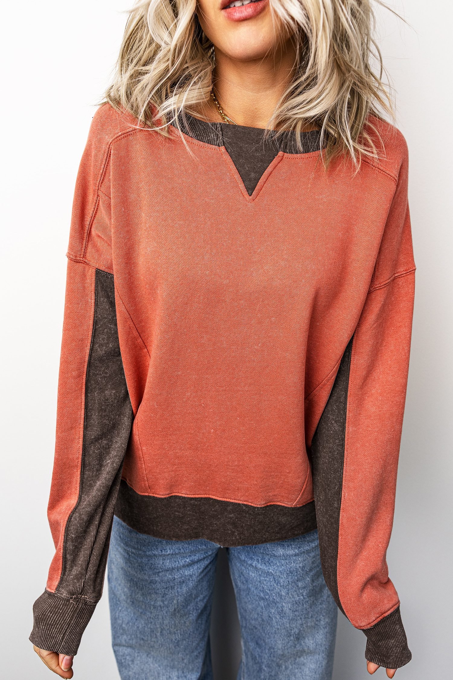 Flamingo Patchwork Colorblock Long Sleeve Vintage Regular Fit Sweatshirt